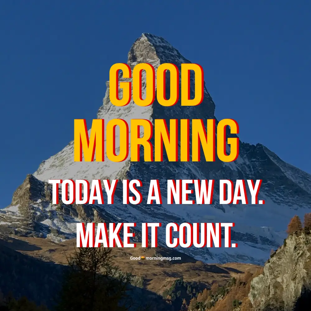 Good Tuesday Morning