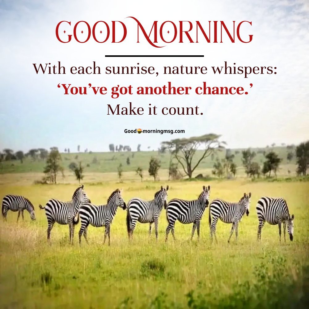 Goodmorningmsg I Goodmorningmsg