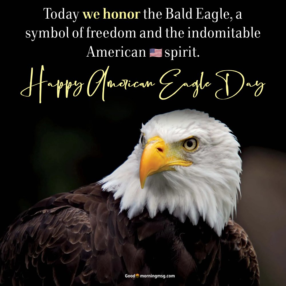 Happy 4th Of July Eagle Images I Goodmorningmsg