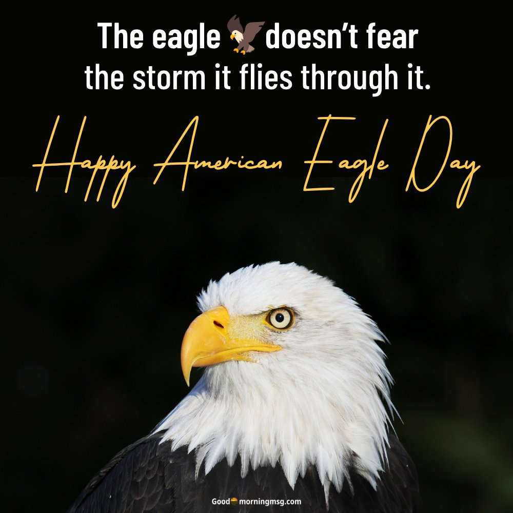 Happy American Eagle Day Wishes Images I Goodmorningmsg