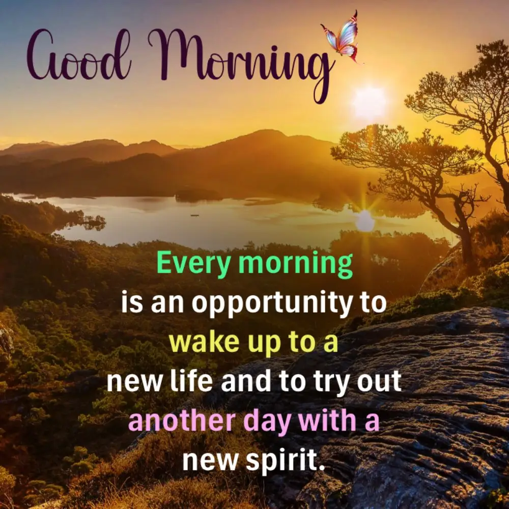 Happy Friday Good Morning