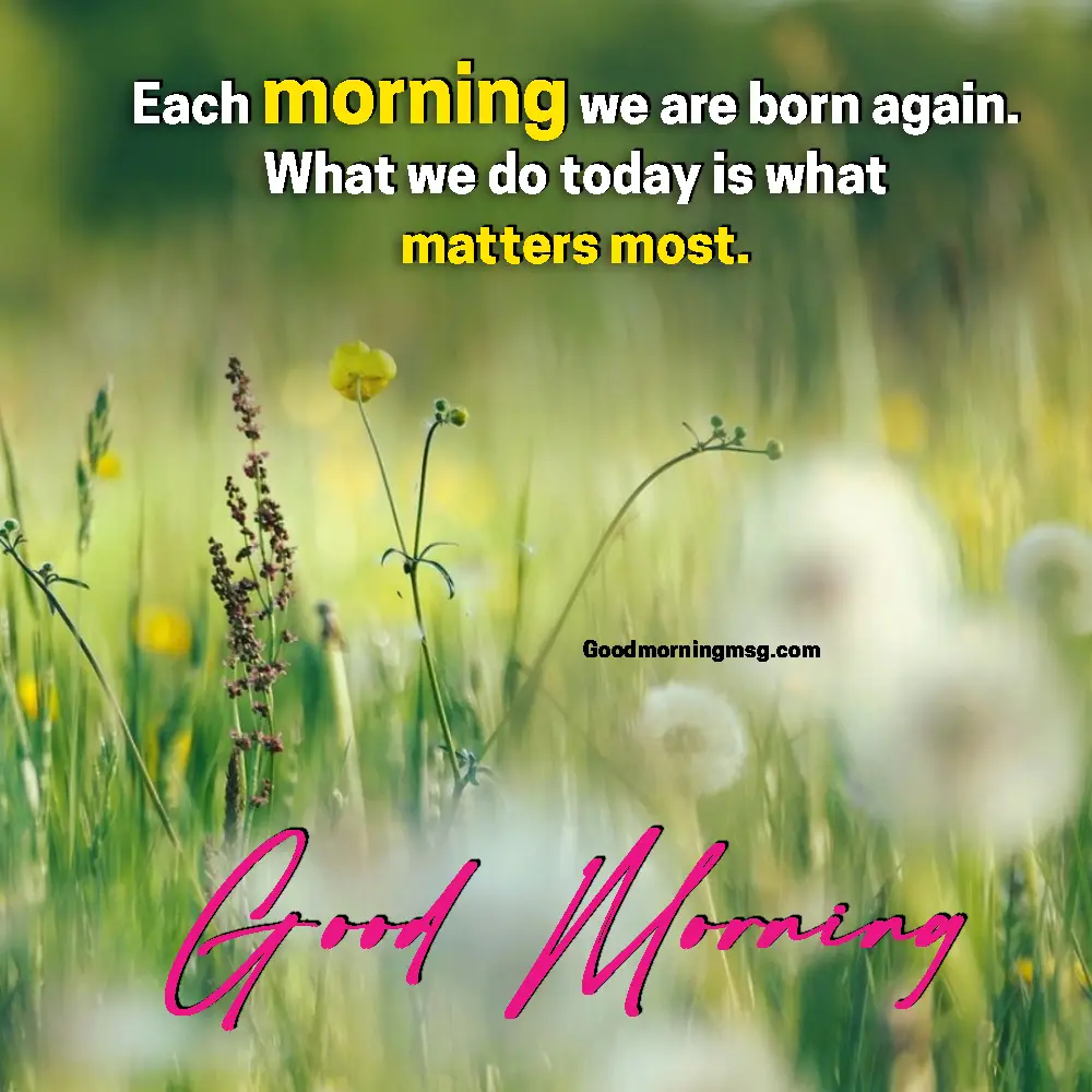 Happy Good Morning Quotes