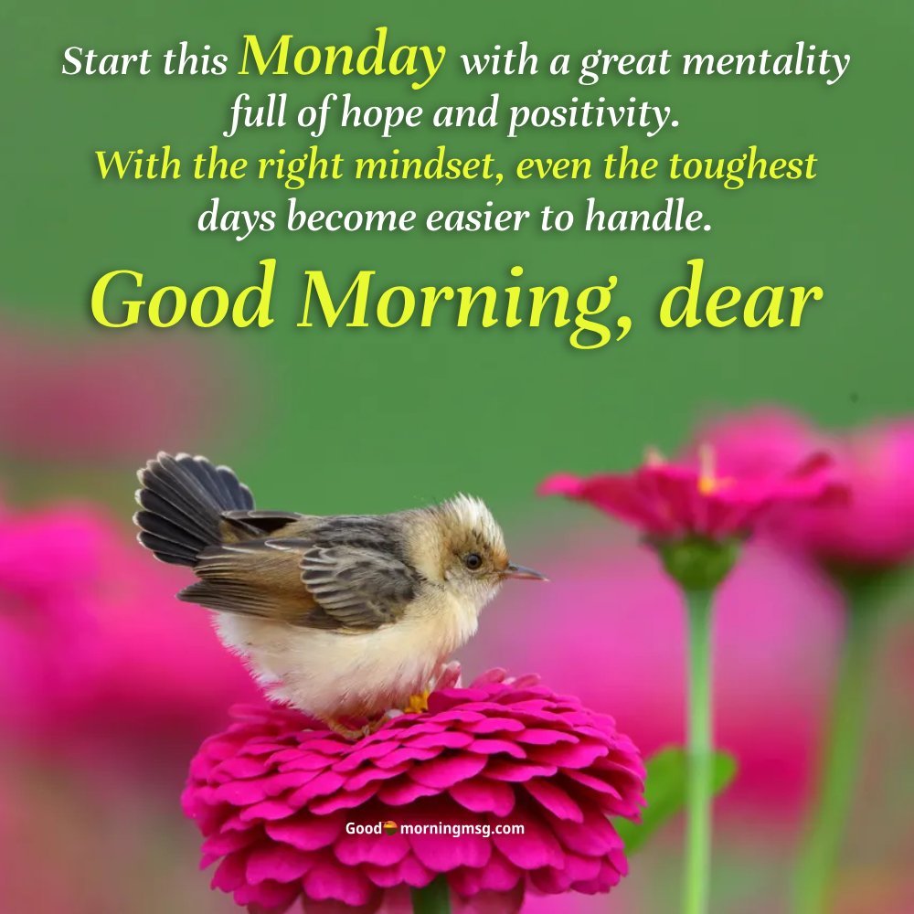 Happy Monday Good Morning I Goodmorningmsg