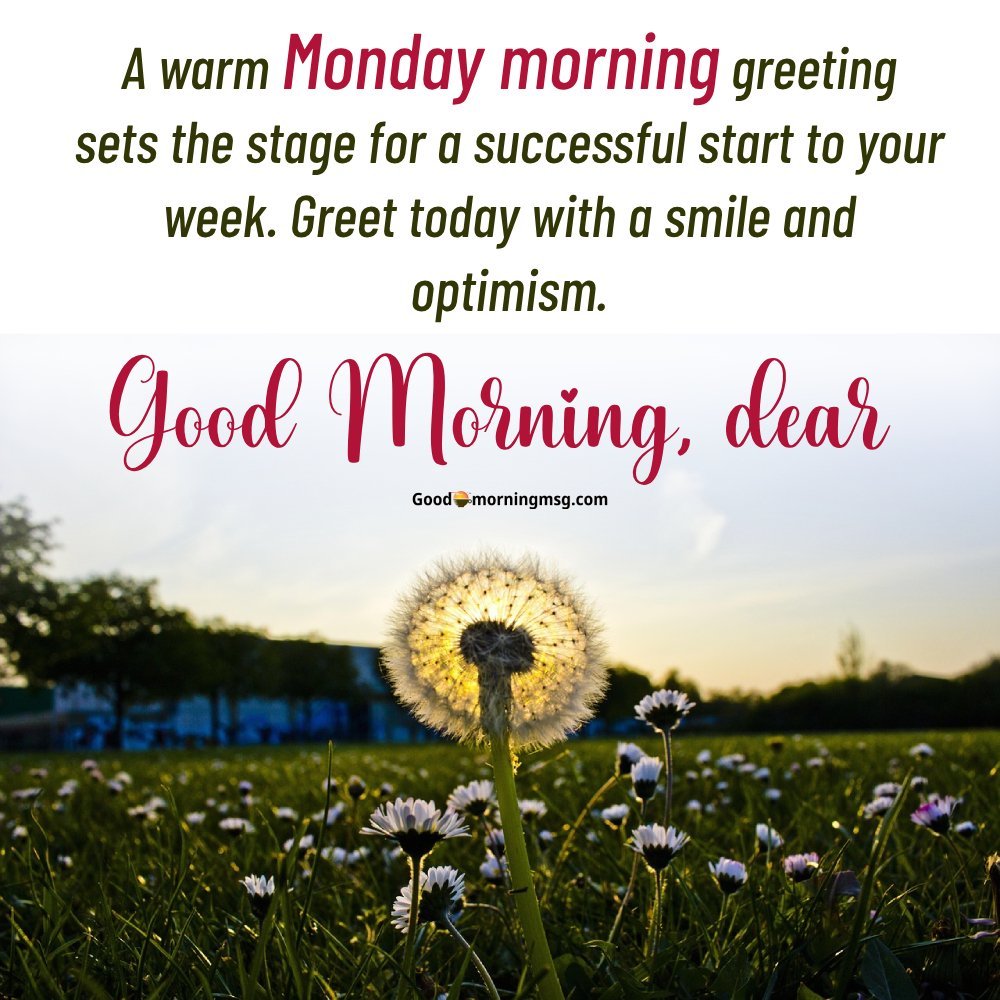 Happy Monday Hd Images Download For Whatsapp I Goodmorningmsg