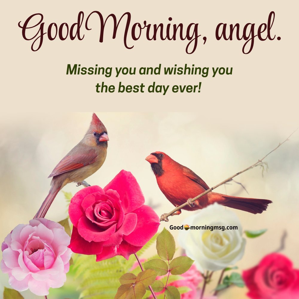 Happy Monday Images And Quotes
