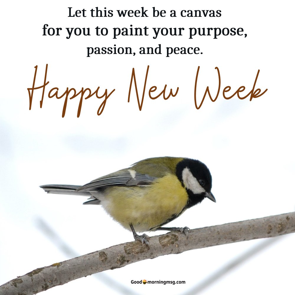 Happy New Week Images And Quotes I Goodmorningmsg