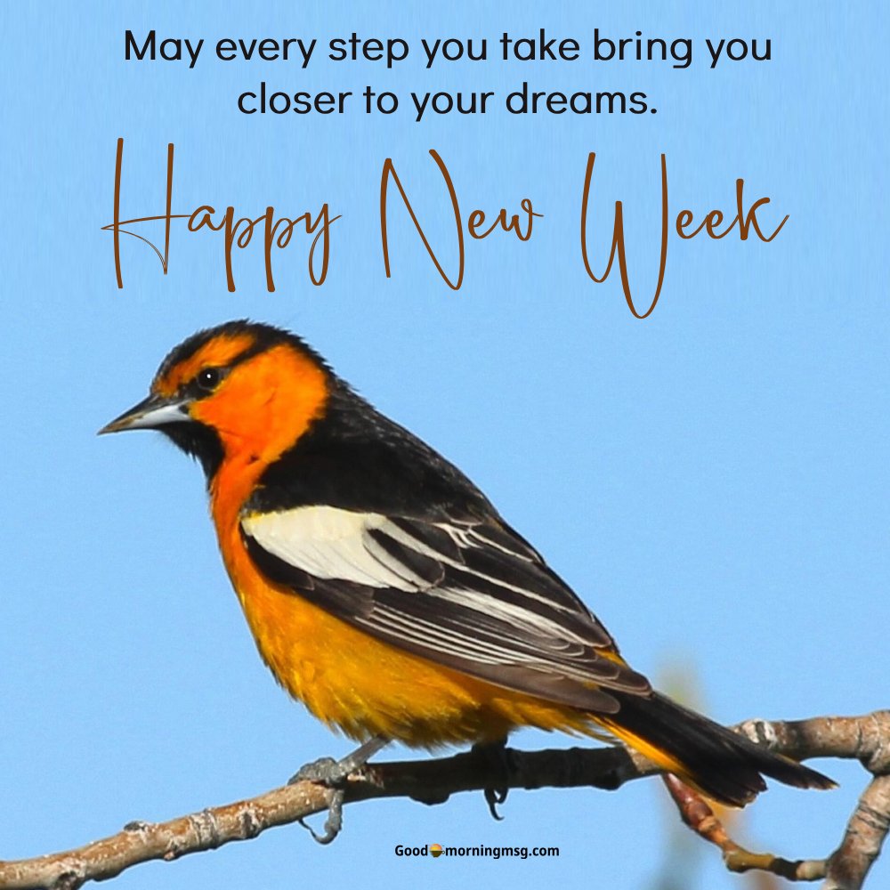Happy New Week Images I Goodmorningmsg
