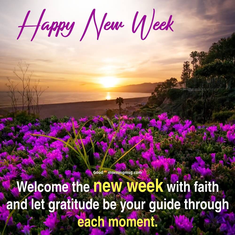 Happy New Week Quotes I Goodmorningmsg