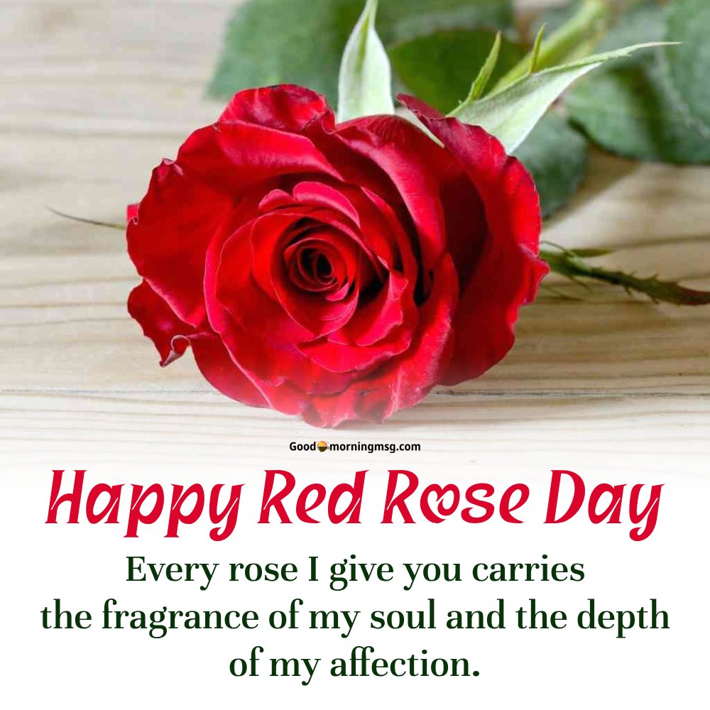Happy Rose Day Date I Goodmorningmsg