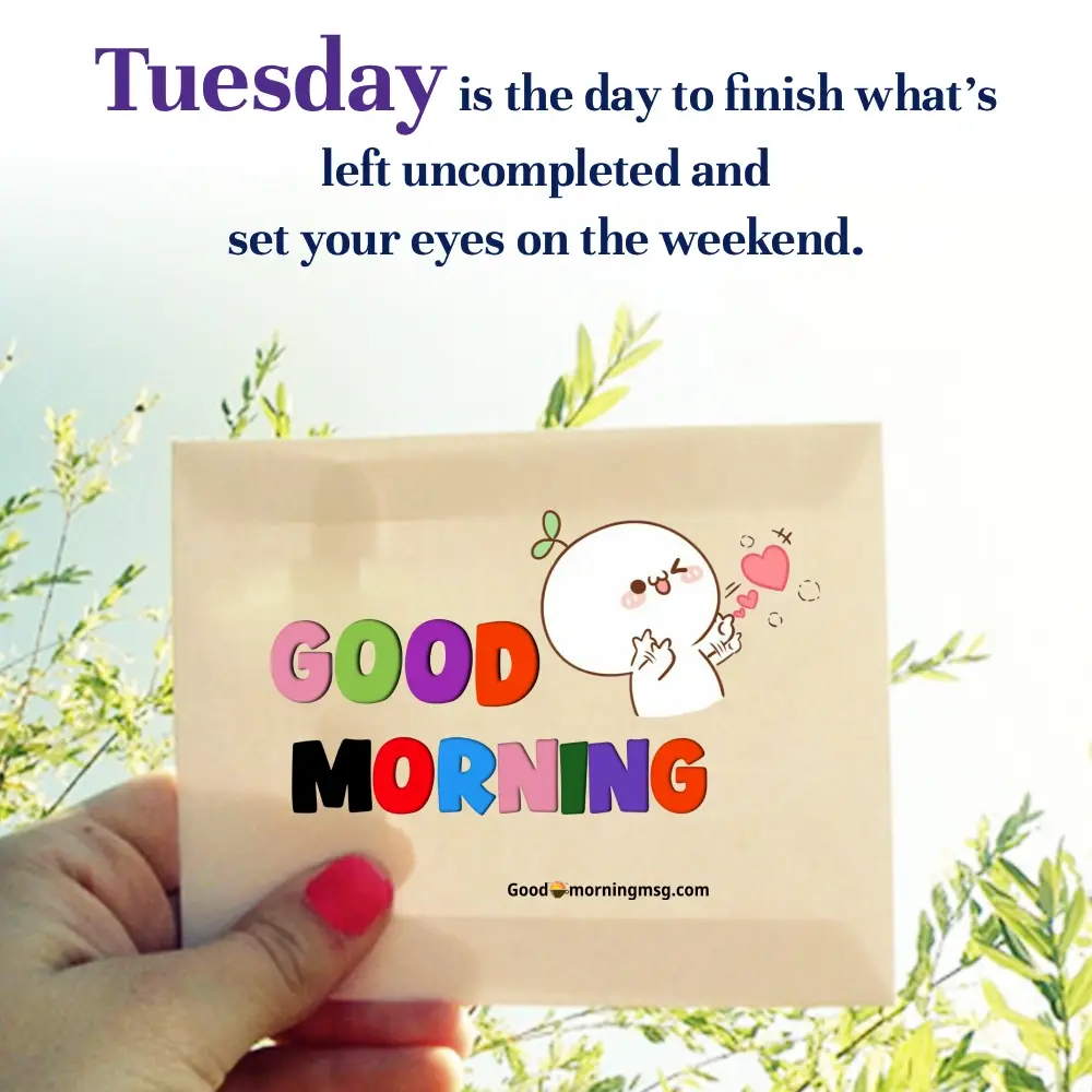 Happy Tuesday Have A Nice Day