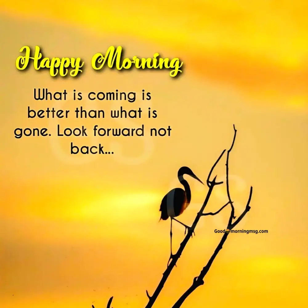 Heart Touching Deep Meaningful Good Morning Life Quotes