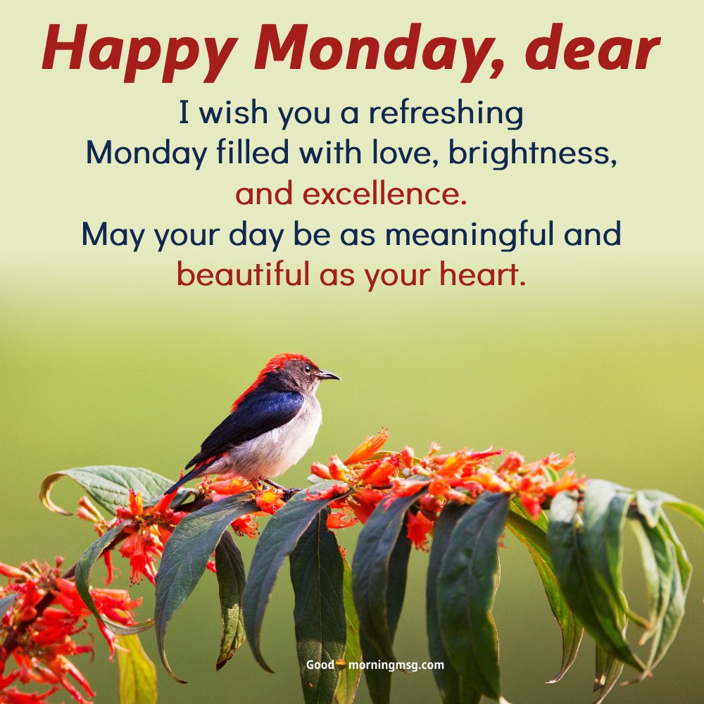Inspirational Happy Monday I Goodmorningmsg