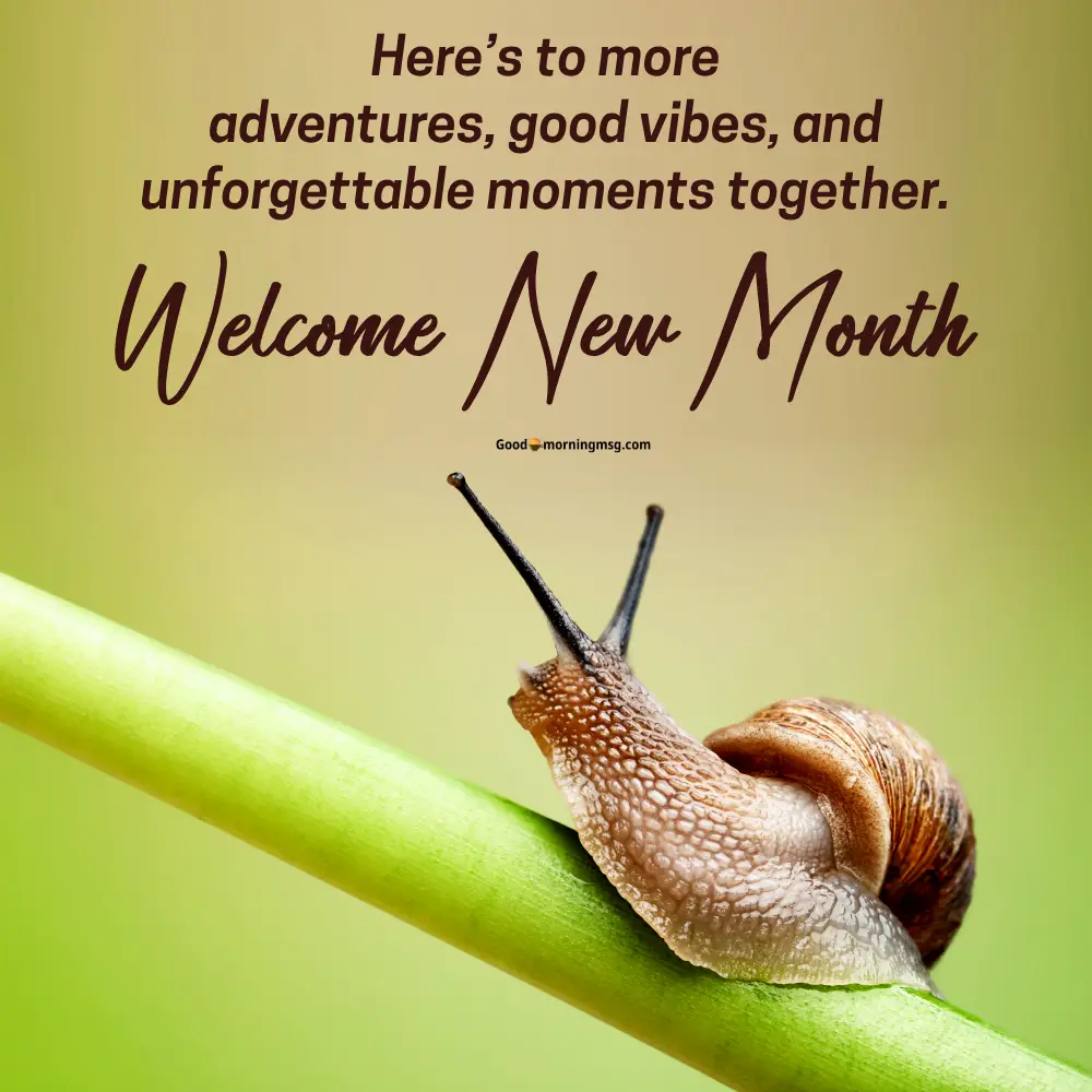 July Ne Month Prayer