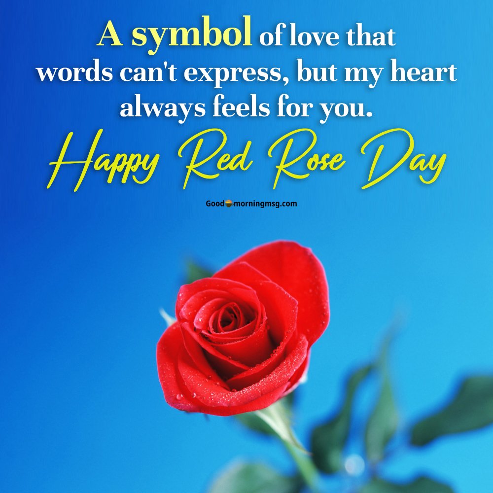 June 12 Red Rose Day I Goodmorningmsg