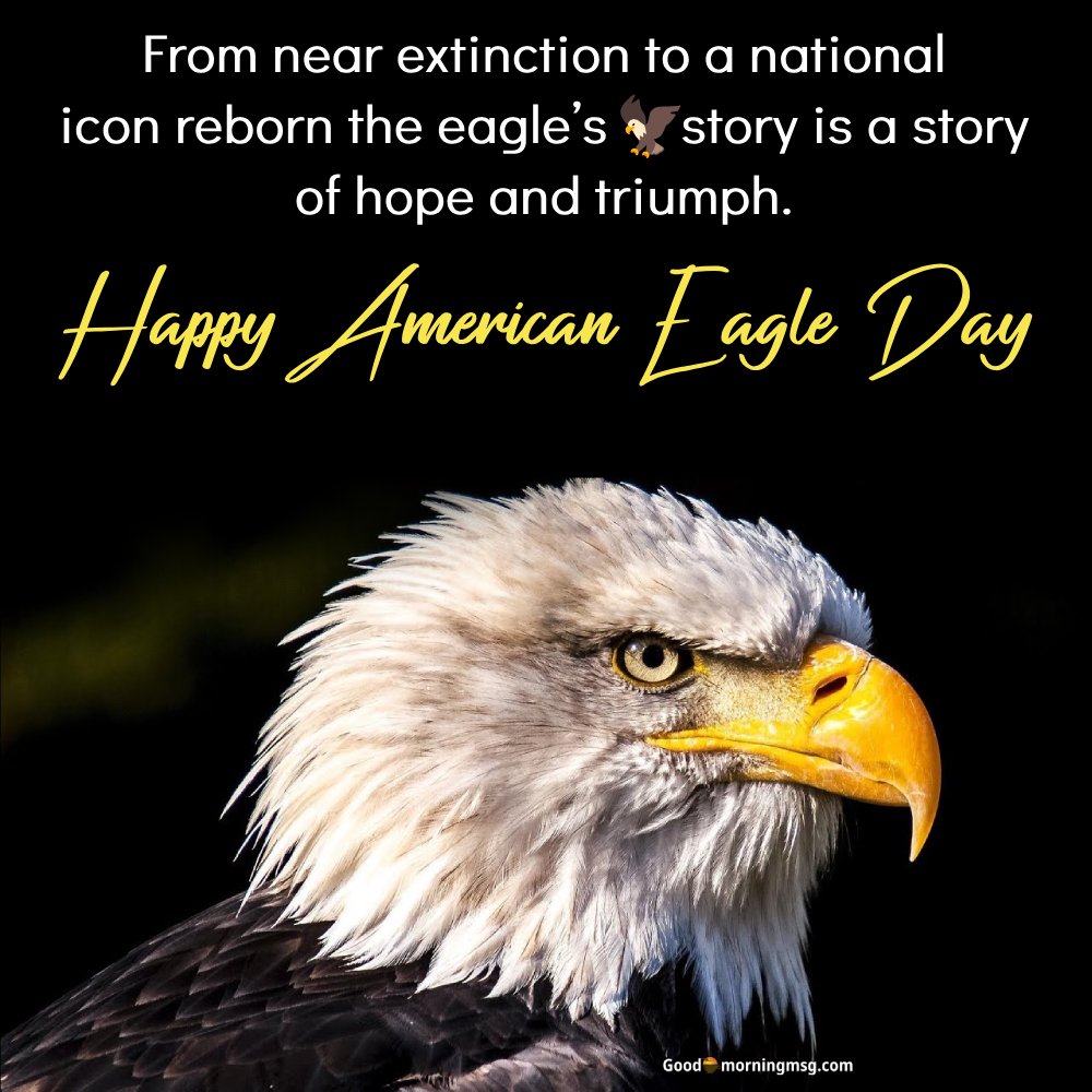 June 20 Happy American Eagle Day Wishes Quotes And Images