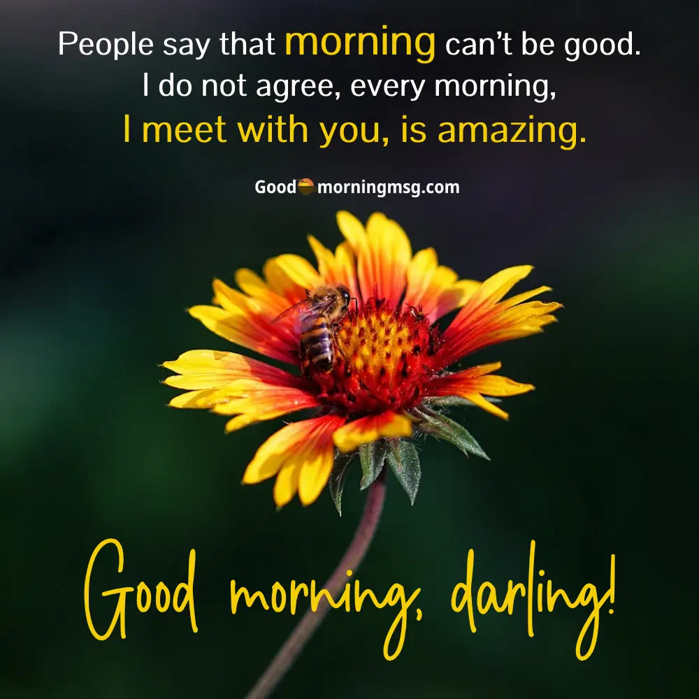 Long Good Morning Message To My Love