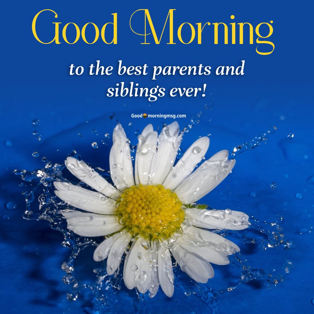 Long Good Morning Sms For Parents And Siblings I Goodmorningmsg
