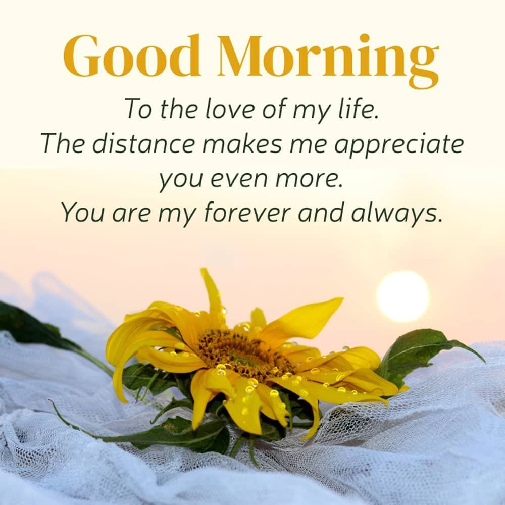 Love And Trust Messages For Distance Relationship For Him