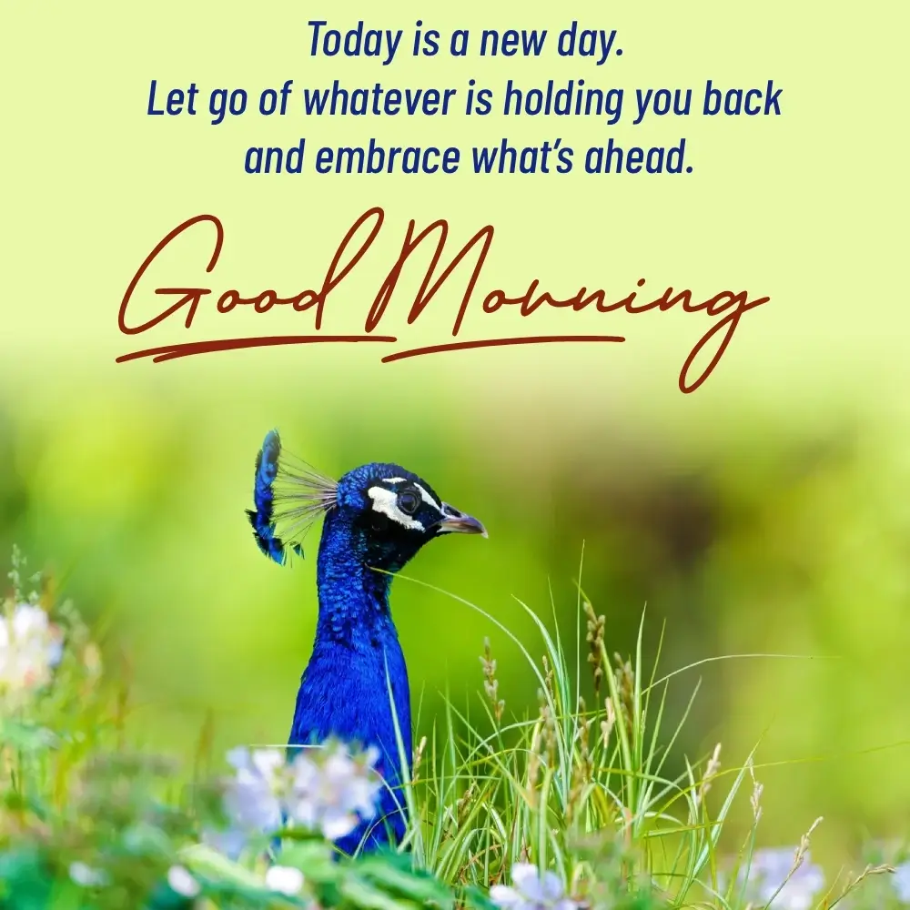 Love Quotes