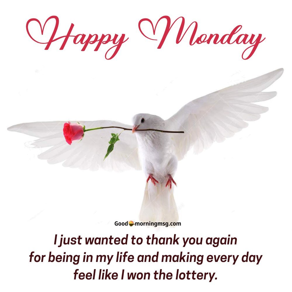 Love You Happy Monday Love
