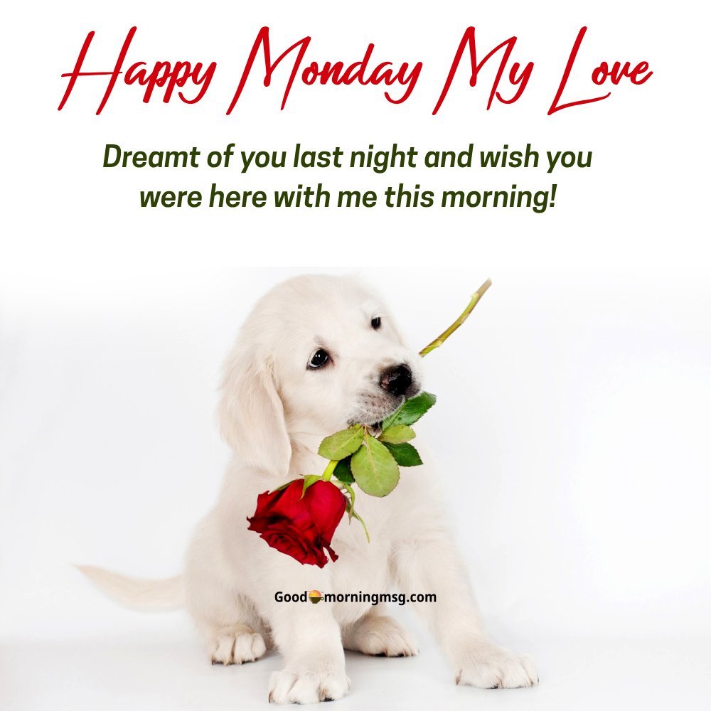 Morning Kiss Romantic Happy Monday My Love