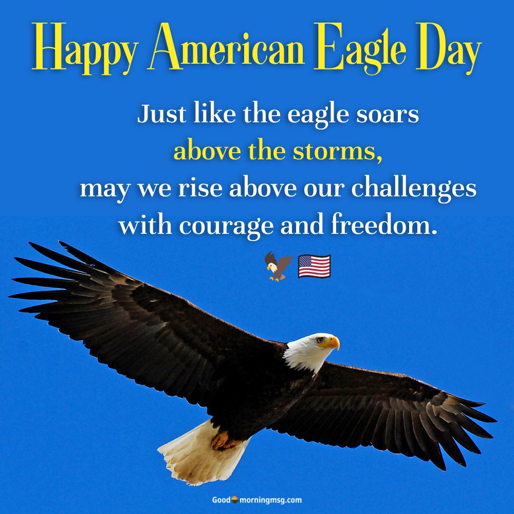 National Bald Eagle Day I Goodmorningmsg