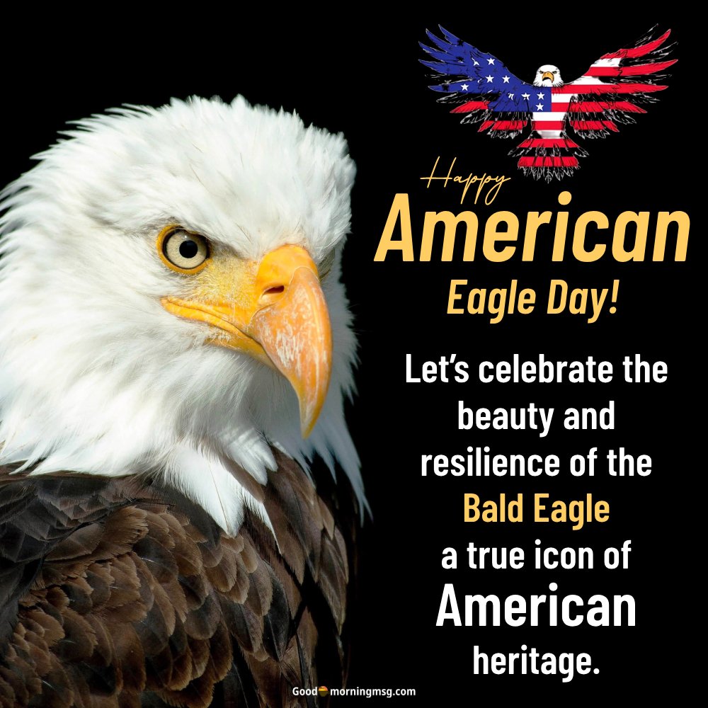National Bald Eagle Day Images I Goodmorningmsg