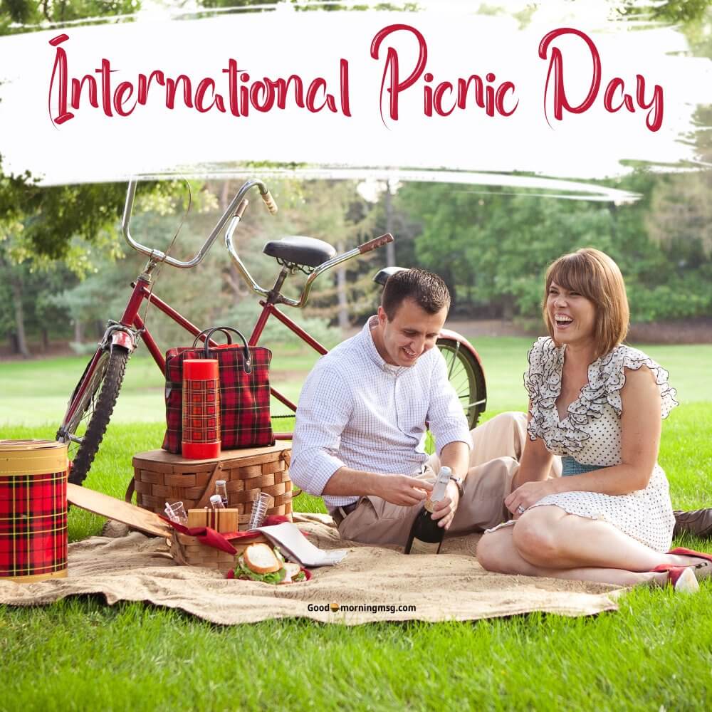 National Picnic Day I Goodmorningmsg