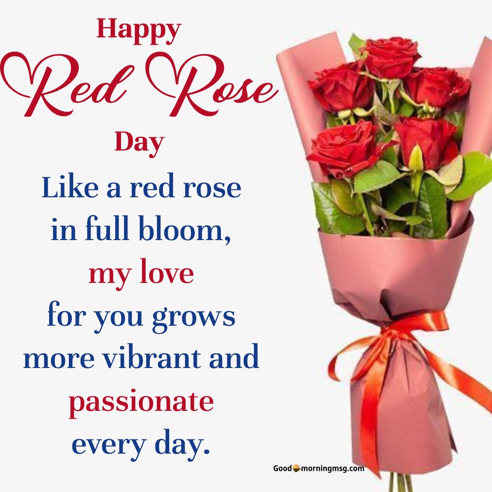 National Red Rose Day I Goodmorningmsg