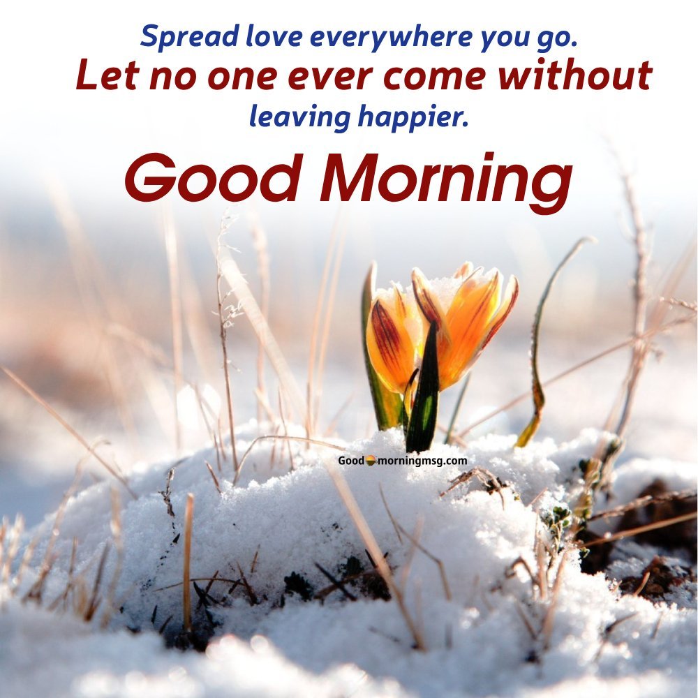 Positive Good Morning Quotes I Goodmorningmsg