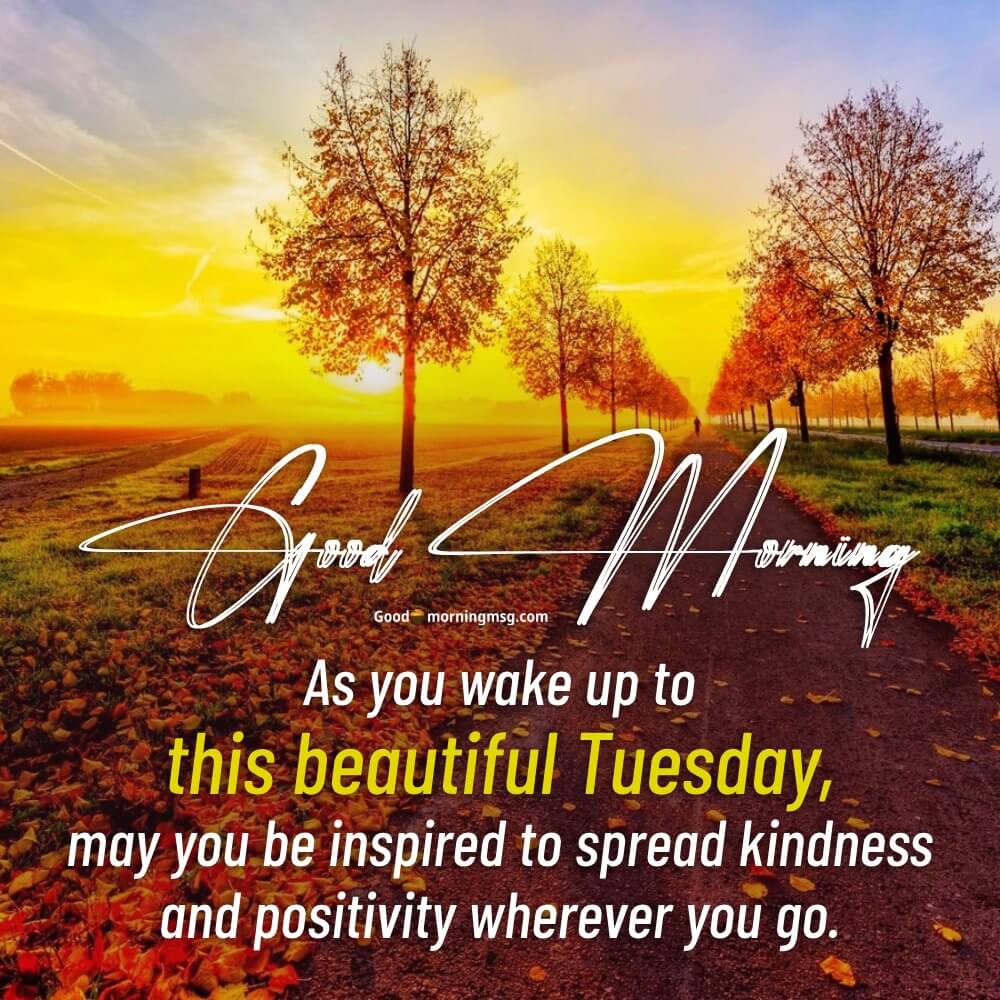 Positive Good Morning Tuesday I Goodmorningmsg