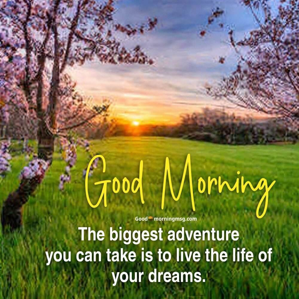 Powerful Wisdom Good Morning Quotes I Goodmorningmsg