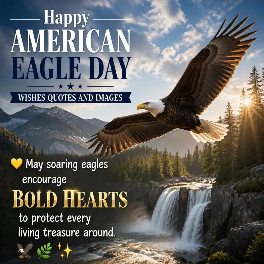Quotes On Eagle