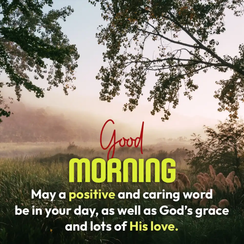 Rainy Good Morning Images For Whatsapp