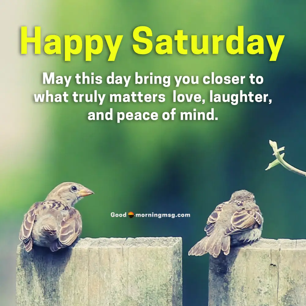 Saturday Good Morning Images I Goodmorningmsg