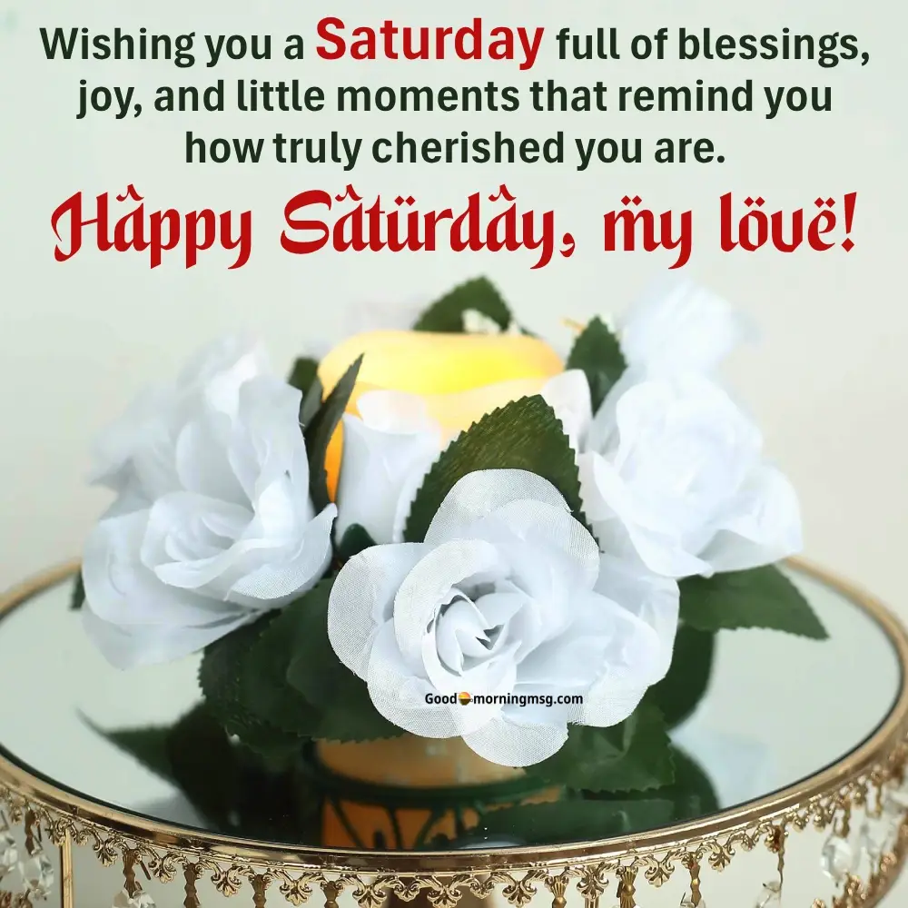 Saturday Night Fever Quotes