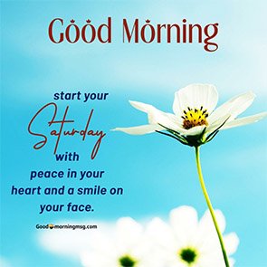 Saturday Weekend Funny Quotes And Images I Goodmorningmsg