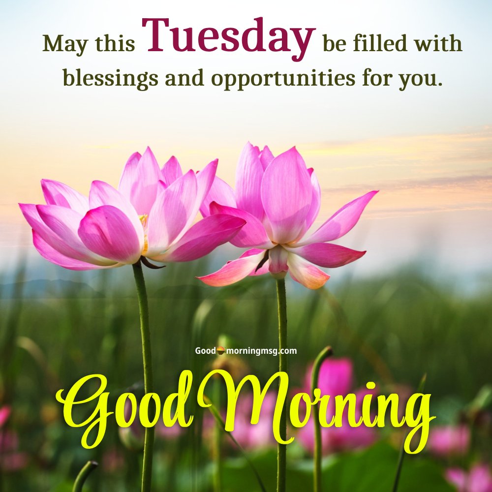 Tuesday Bible Verse Of The Day I Goodmorningmsg