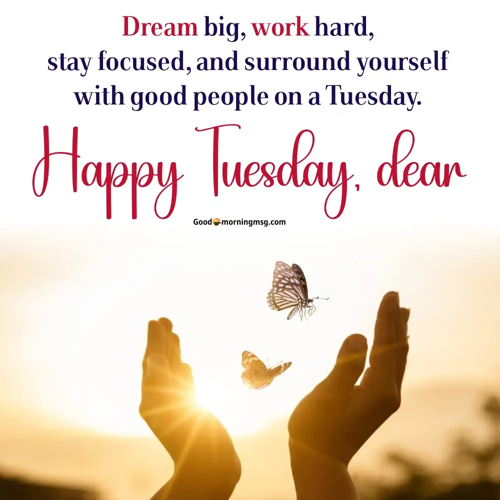 Tuesday Evening Quotes