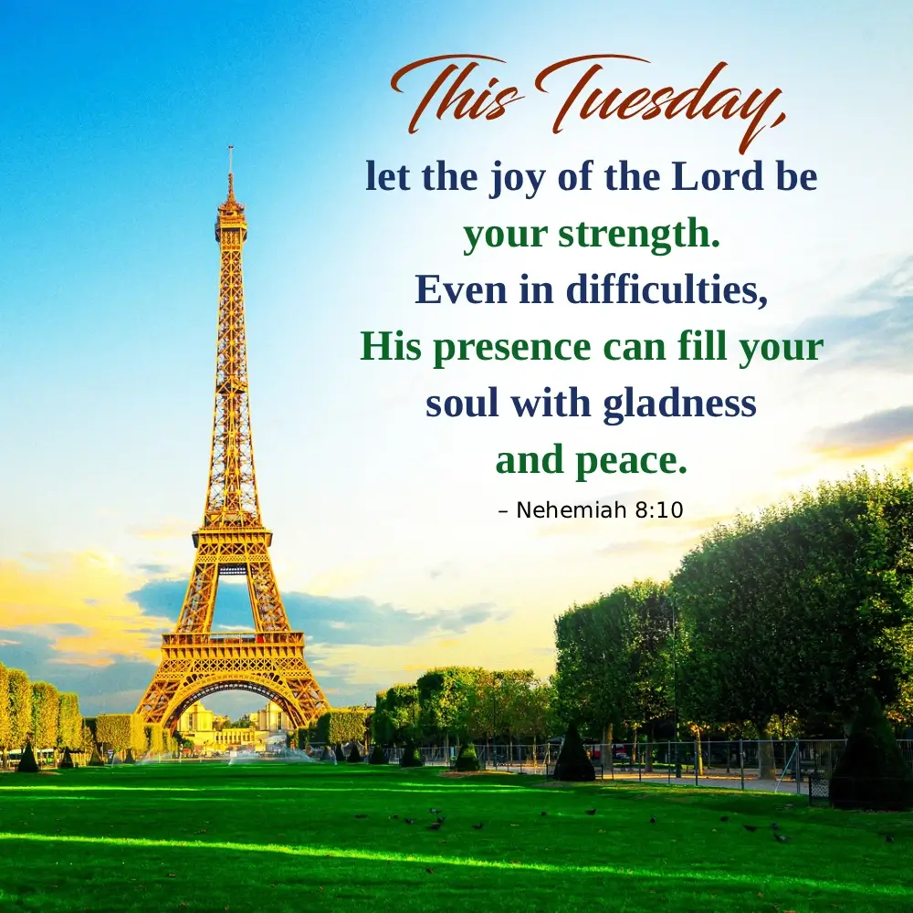 Tuesday In Hindi