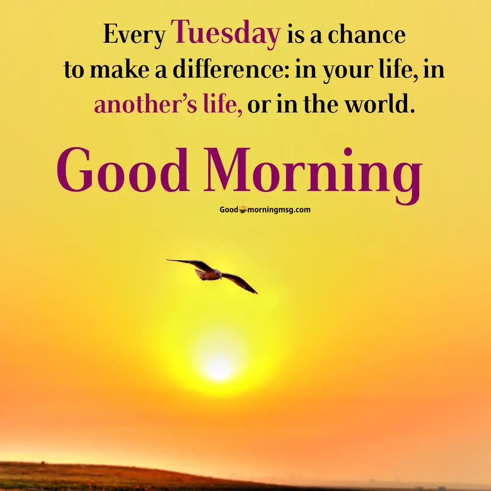 Tuesday Quote Of The Day