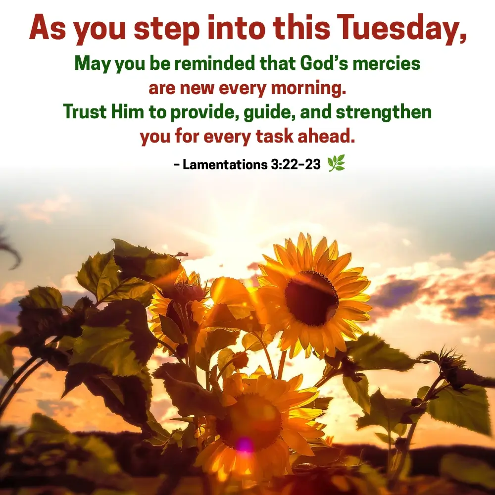 Tuesday Workout Quotes