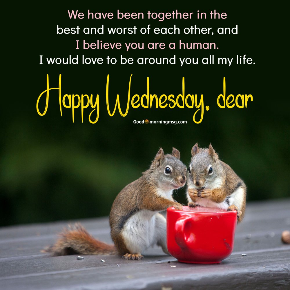 Wednesday Morning I Goodmorningmsg