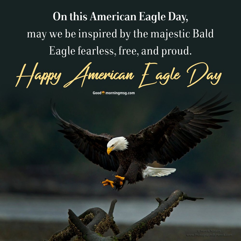 World Eagle Day I Goodmorningmsg