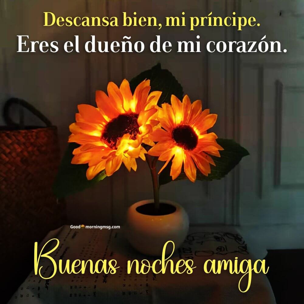 Buenas Noches Mi Amor Que Descanses