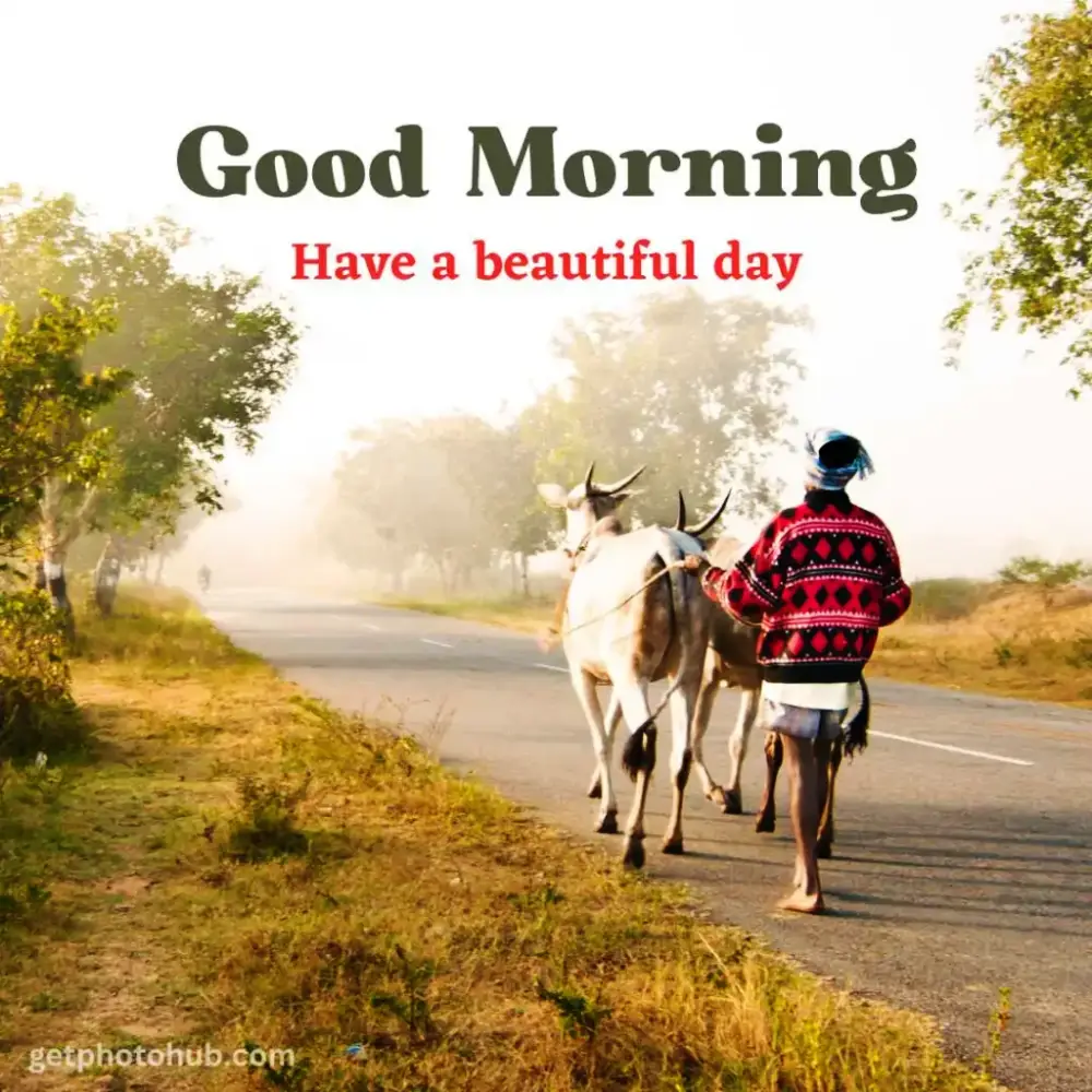 Goodmorningmsg