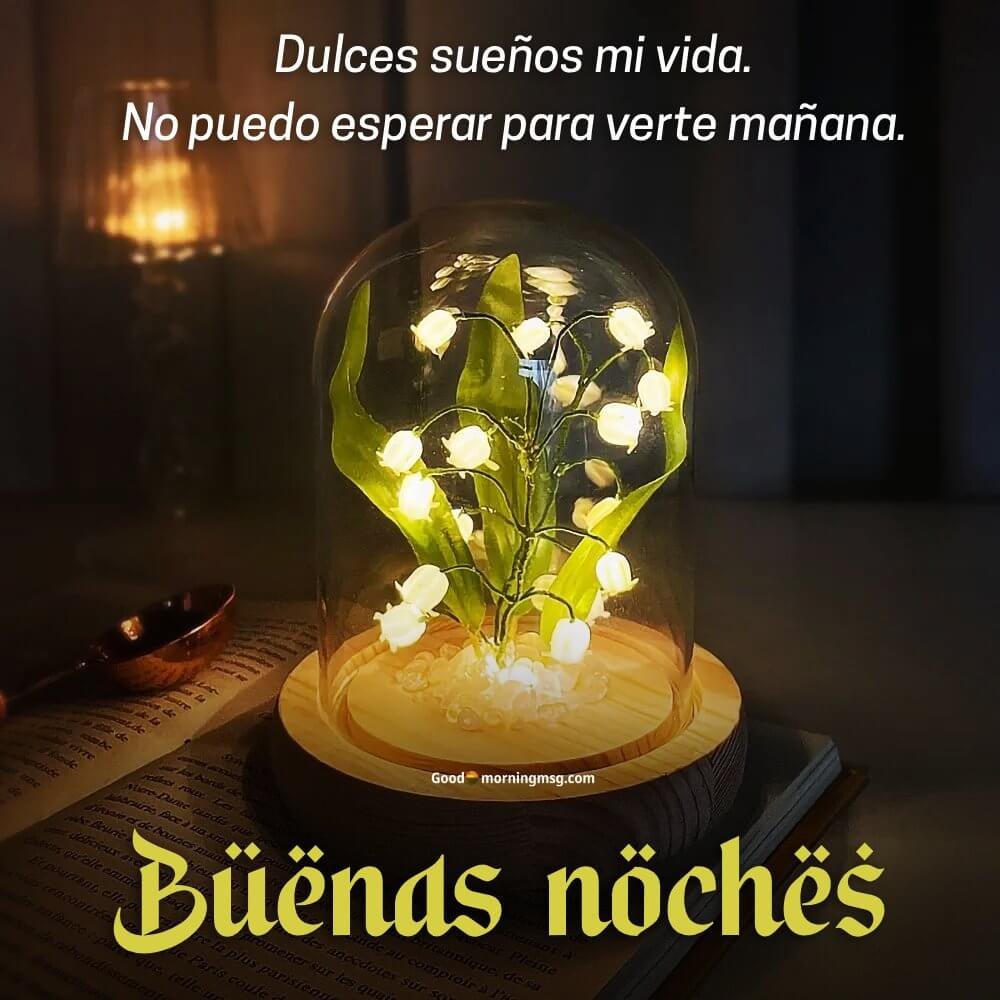 Imagenes De Buenas Noches Mi Amor