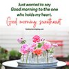 Beautiful Love Good Morning Flowers Quotes And Wallpaper