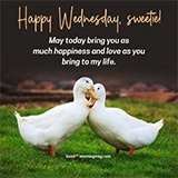Beautiful Wednesday Flower Images, Morning Greetings And Quotes