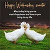Beautiful Wednesday Flower Images, Morning Greetings And Quotes